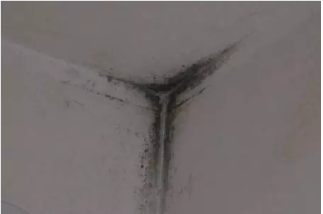 室内结露发霉